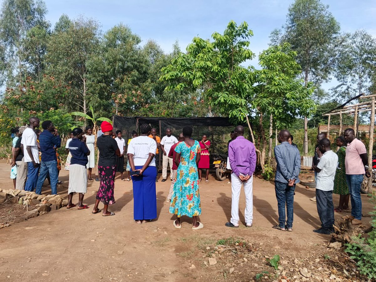 EL-THREE tweet media