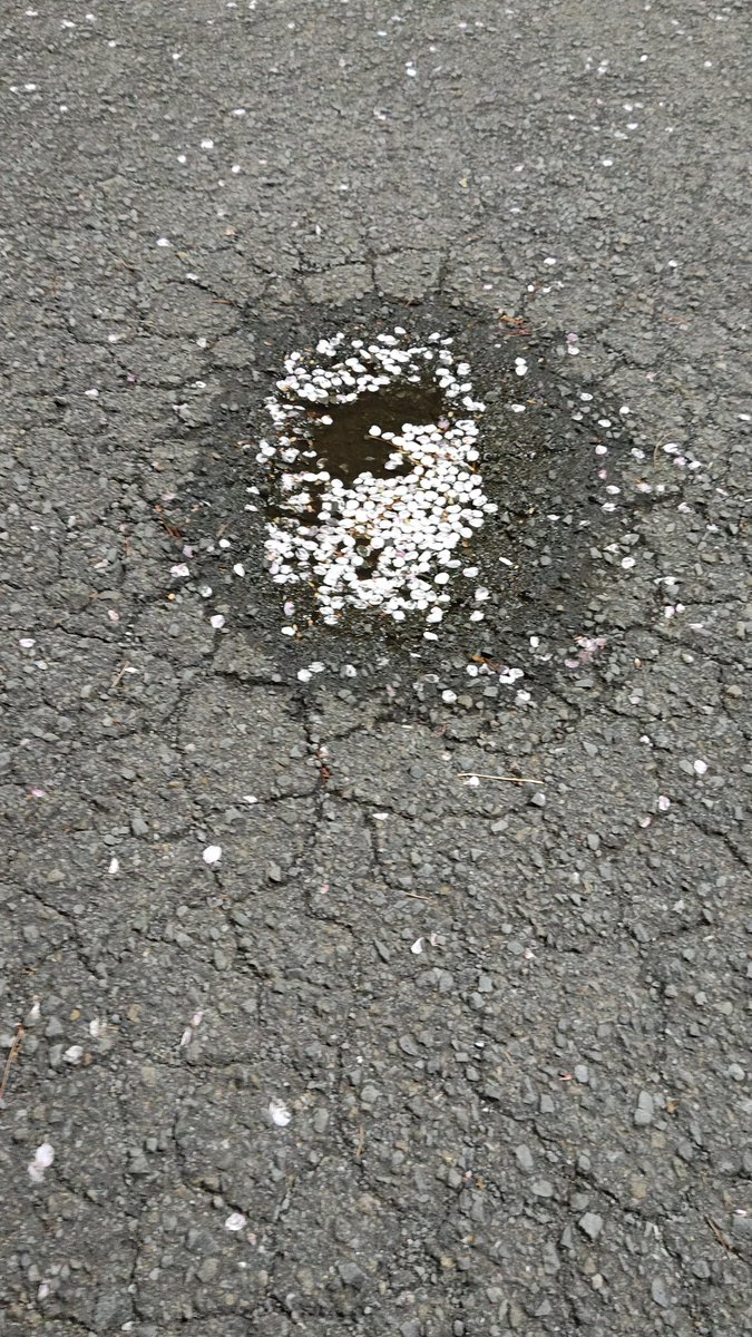 ユーイチ（仮アカウントの予定です） tweet media