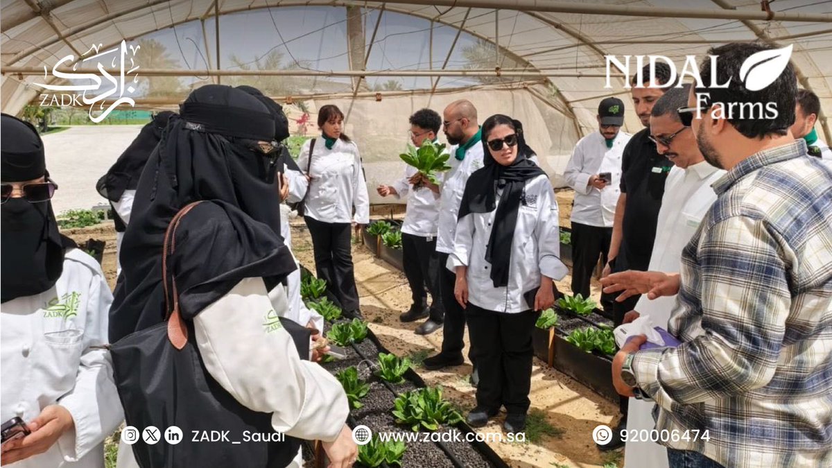 أكاديمية زادك tweet media