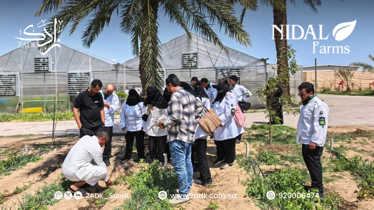 أكاديمية زادك tweet media