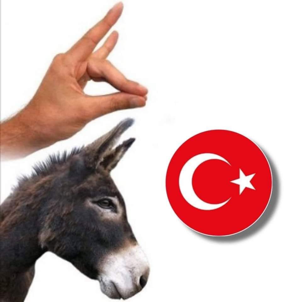 Rewan Selah tweet media