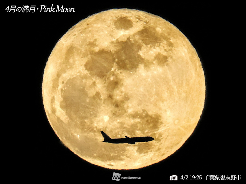 ウェザーニュース tweet media