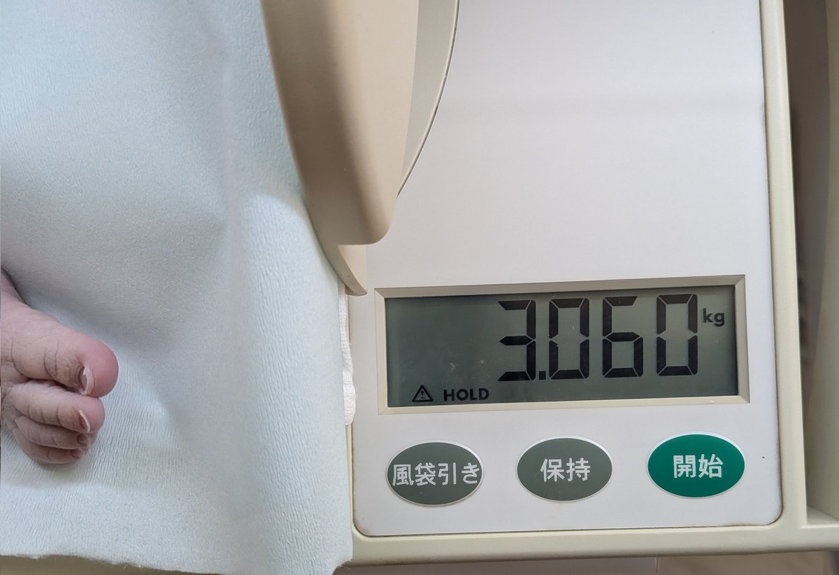 さなえさん tweet media