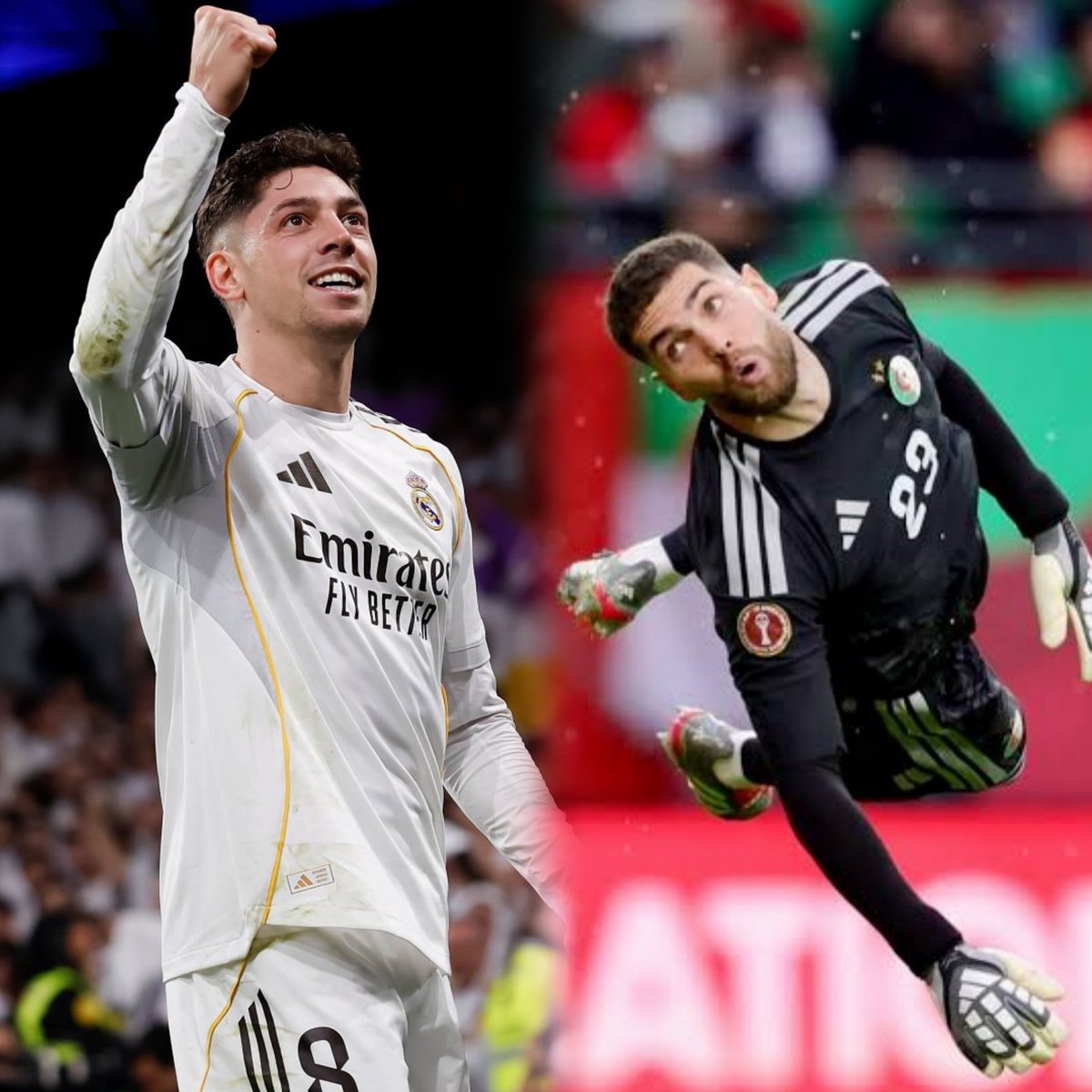 ⭐️ Squadra Khadra 🇩🇿 tweet media