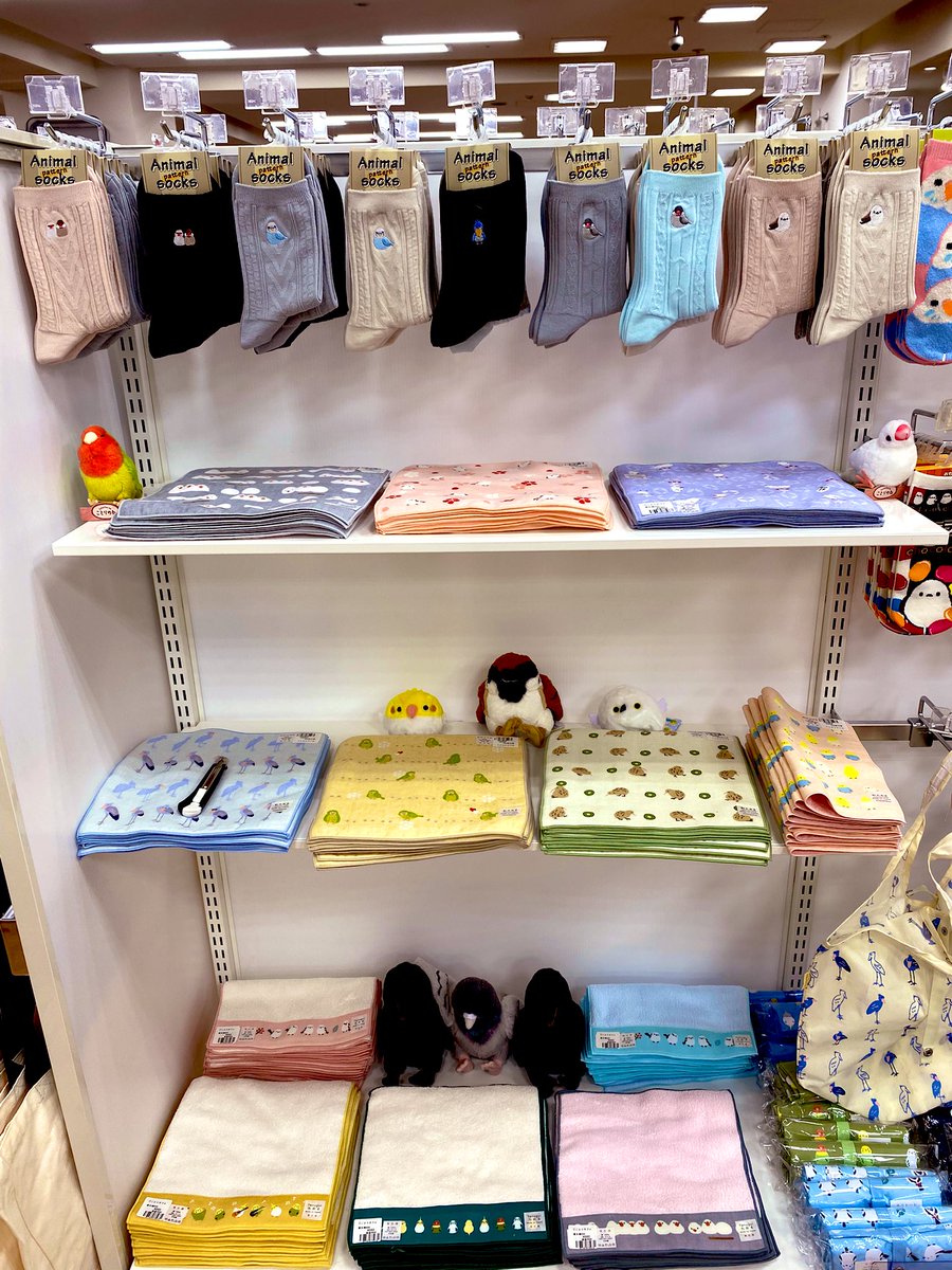 ことりマルシェ札幌 5/25まで 丸善ジュンク堂書店札幌店1階で開催中