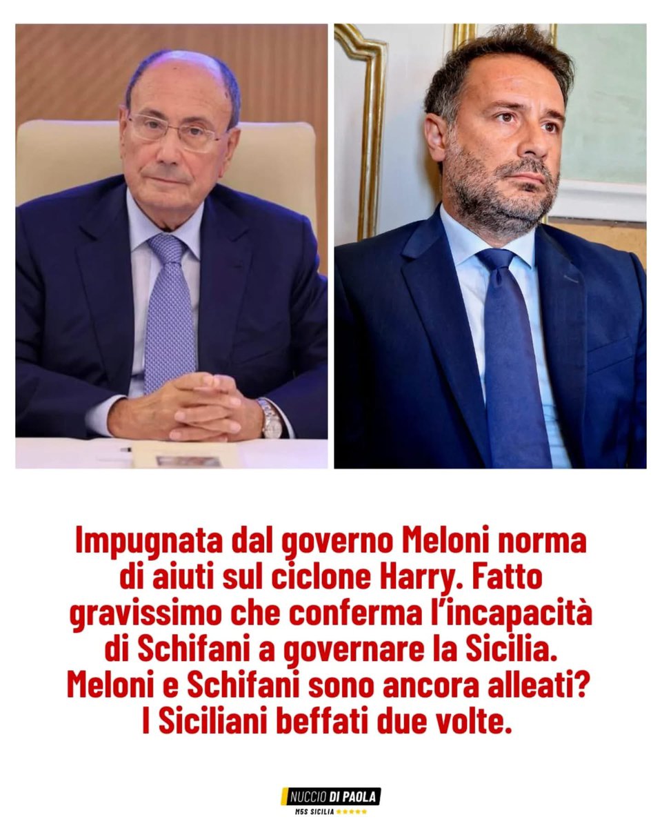 mariagrazia legnazzi⭐️⭐️⭐️⭐️⭐️ tweet media