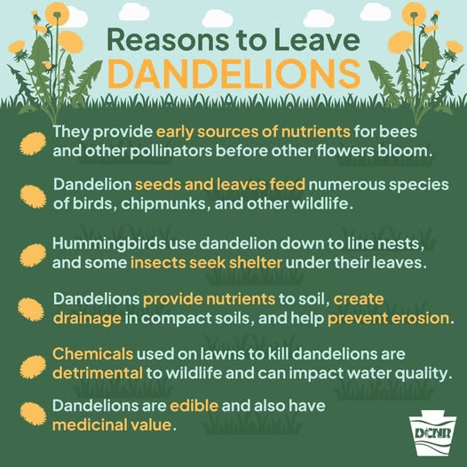 GO GREEN tweet media