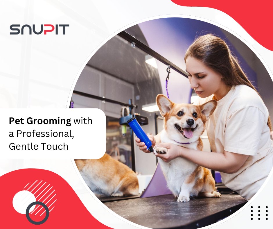 snupitSA's tweet image. Treat your furry friend to a professional, gentle grooming experience that keeps them healthy, happy and feeling pampered. Book the appointment your pet deserves with Groomers on Snupit!
snupit.co.za/post-quote-req…

#doggrooming #petgrooming #snupit