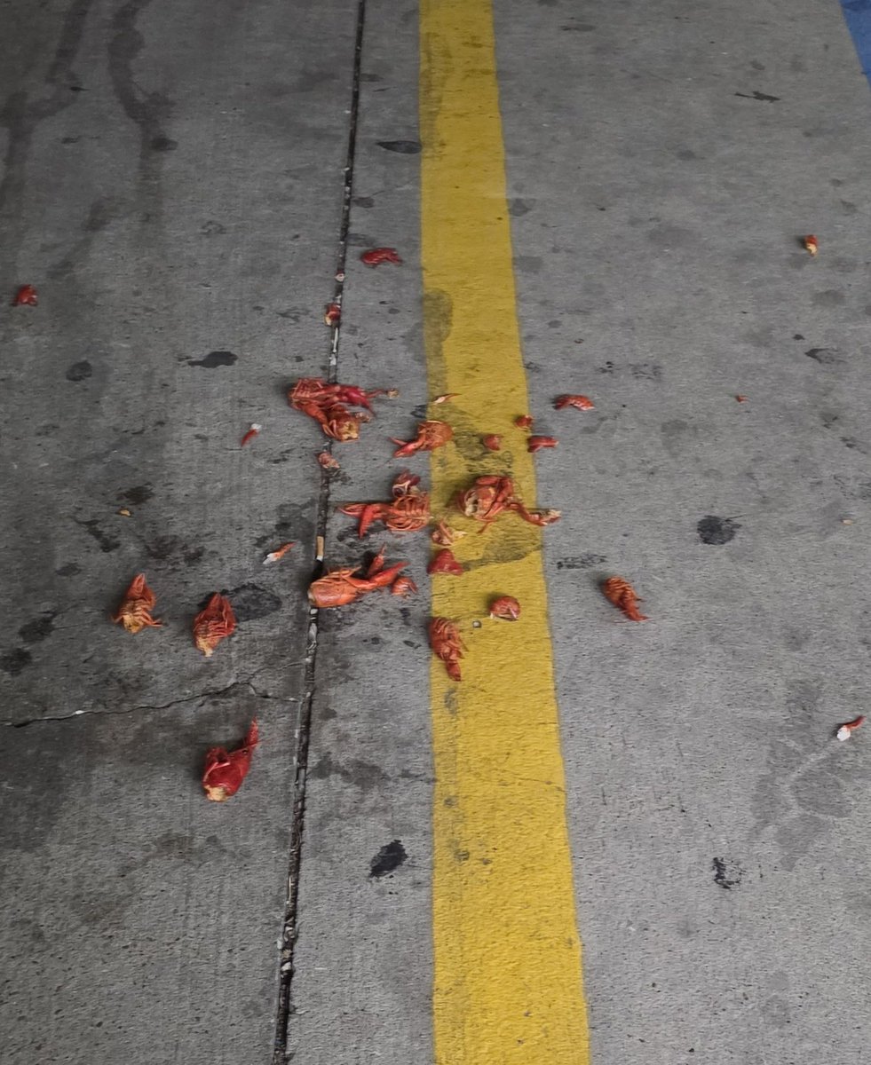 TheGloominati's tweet photo. Saw a black guy throw this out his car window https://t.co/0nheuCO6wp