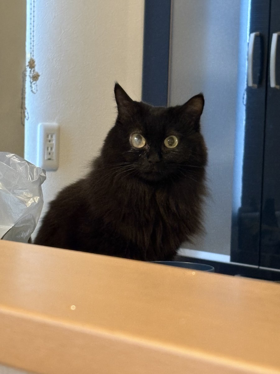 すがこ tweet media