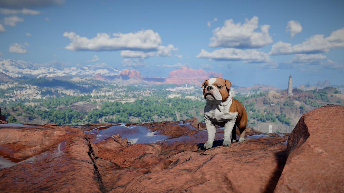 ごるべぇざ tweet media