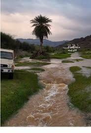 حسين الشهري tweet media