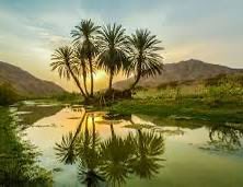 حسين الشهري tweet media