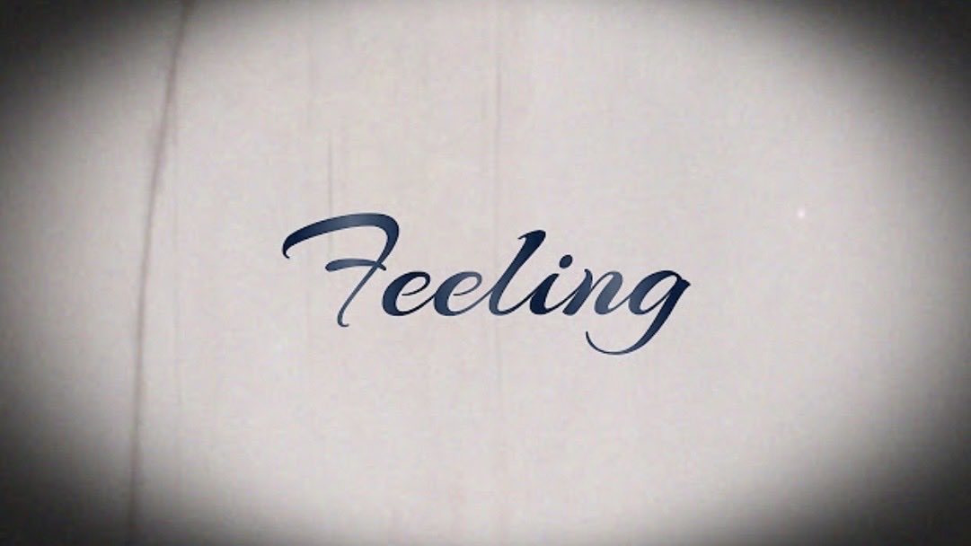 Yo Ru*ﾟ🐈‍⬛*.༒ tweet media