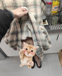 田壮壮的读博日常 tweet media