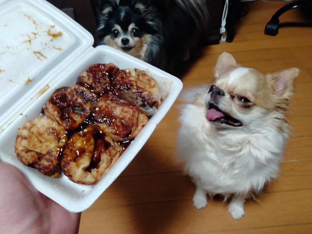 えちごやとちわわ tweet media