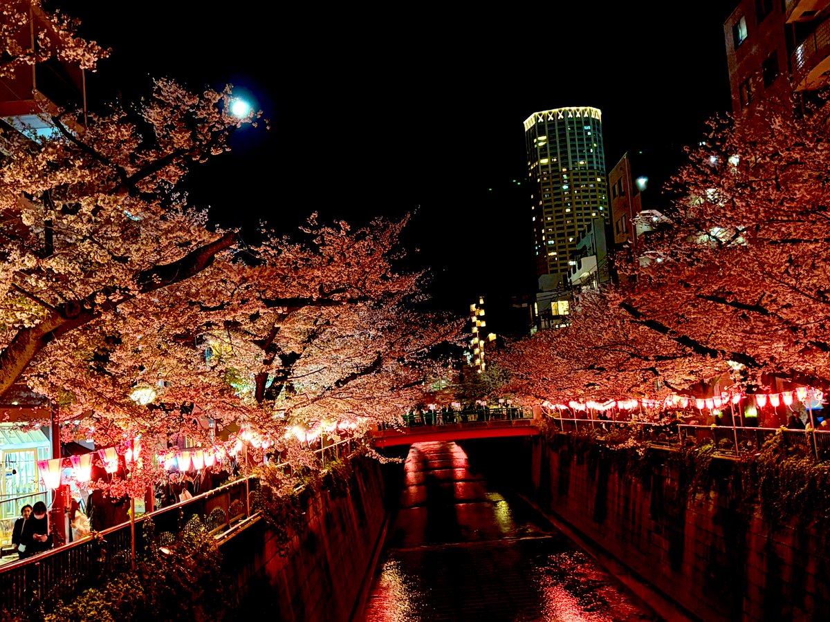 野田草履Ｐの裏アカウント＠誕生日２月１６日 tweet media