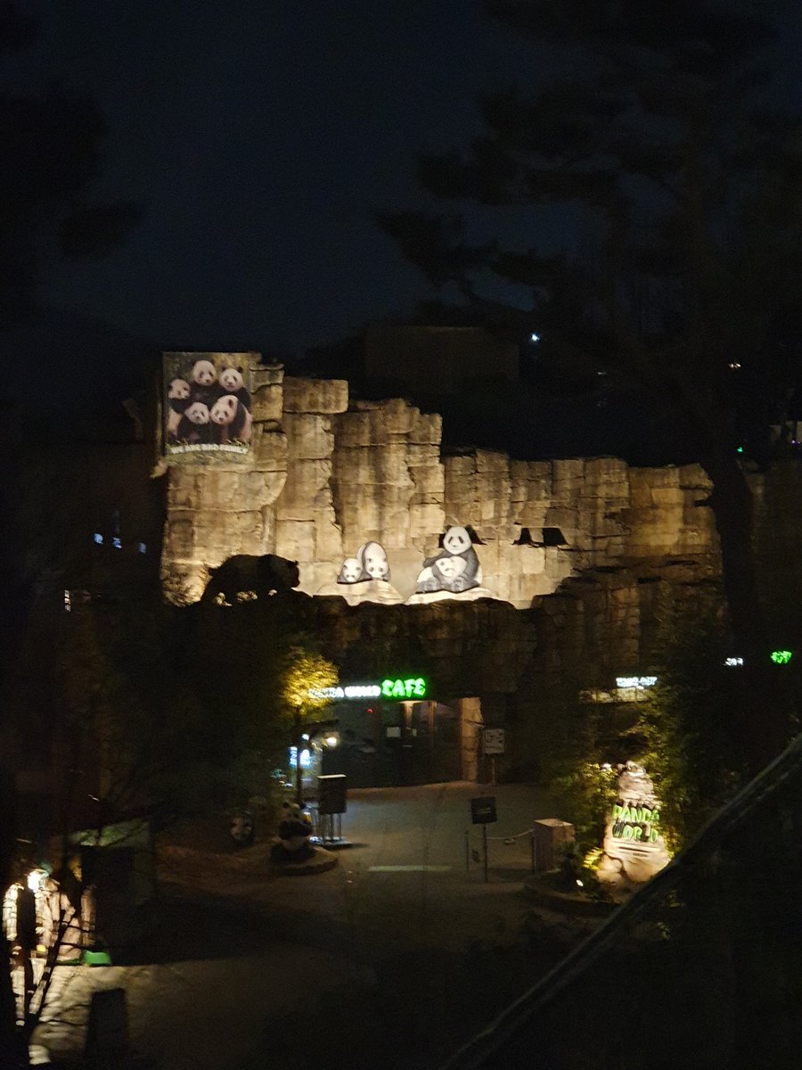 coolmoonsin's tweet photo. 늘 좋은일만 있길 🐼🌼 https://t.co/mMvg6BAgkz