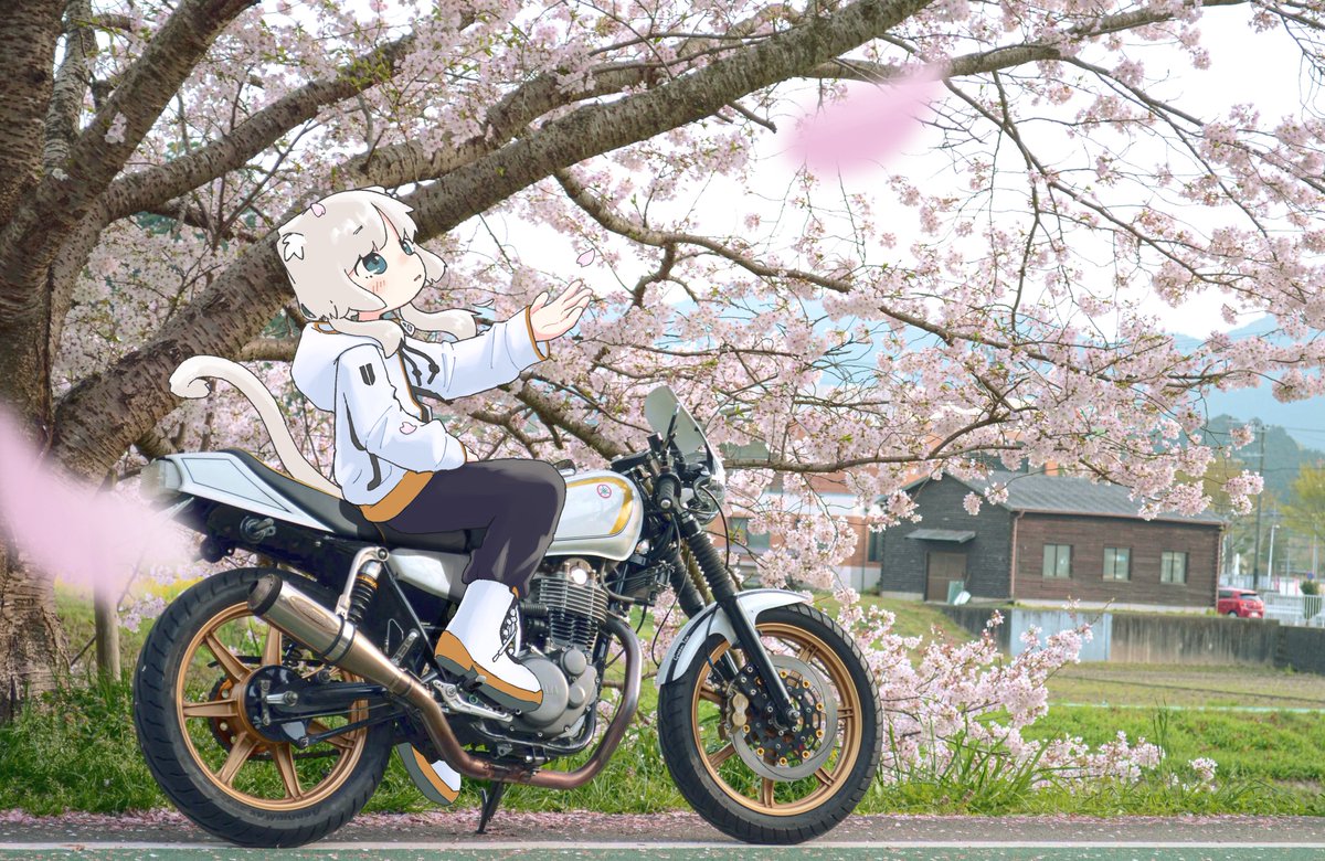 あむ@みんステフェス4/5高円寺 tweet media