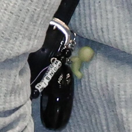 ˗ˏˋ 🦕왕냥㌠🎸ˎˊ˗ tweet media