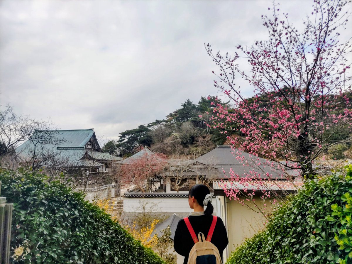 shinsburger0704's tweet photo. 新しく🍔働いてくださることになった
学生さんとランチ営業後 摩耶山へ

これからどうぞよろしく

#MaSACa #摩耶ビューライン
#摩耶山 #Cafe702 #天上寺 https://t.co/ZCJSVgQA2C
