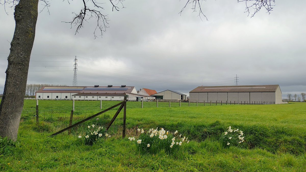 Luc Lambert tweet media