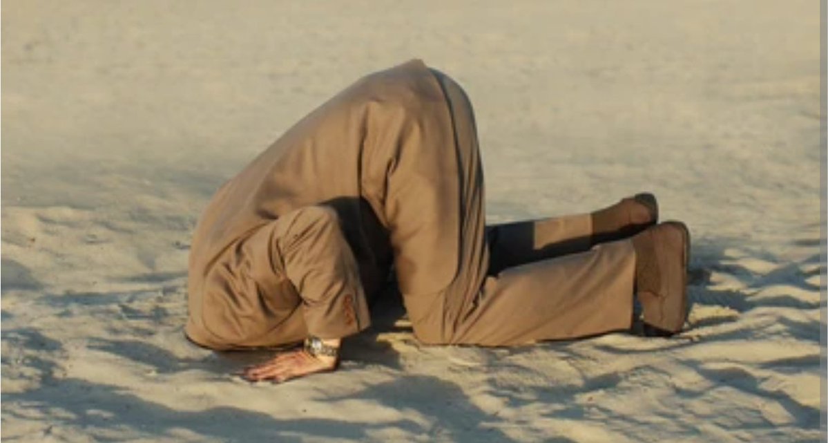 iker 🏴☠️⚔️🗺️ tweet media