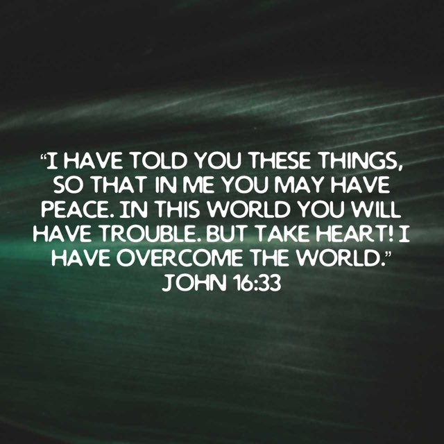 Jeff Prince tweet media