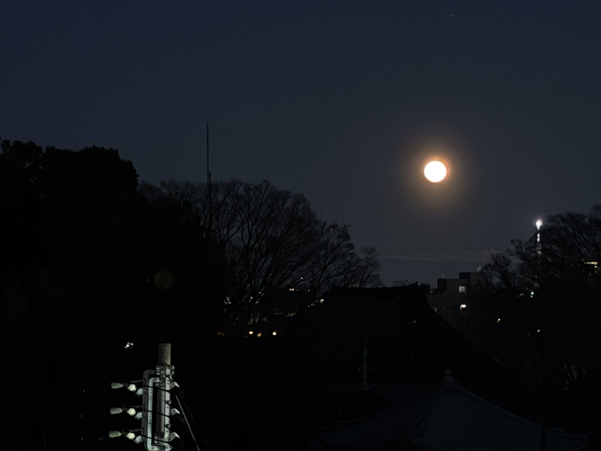 トニー大木 tweet media