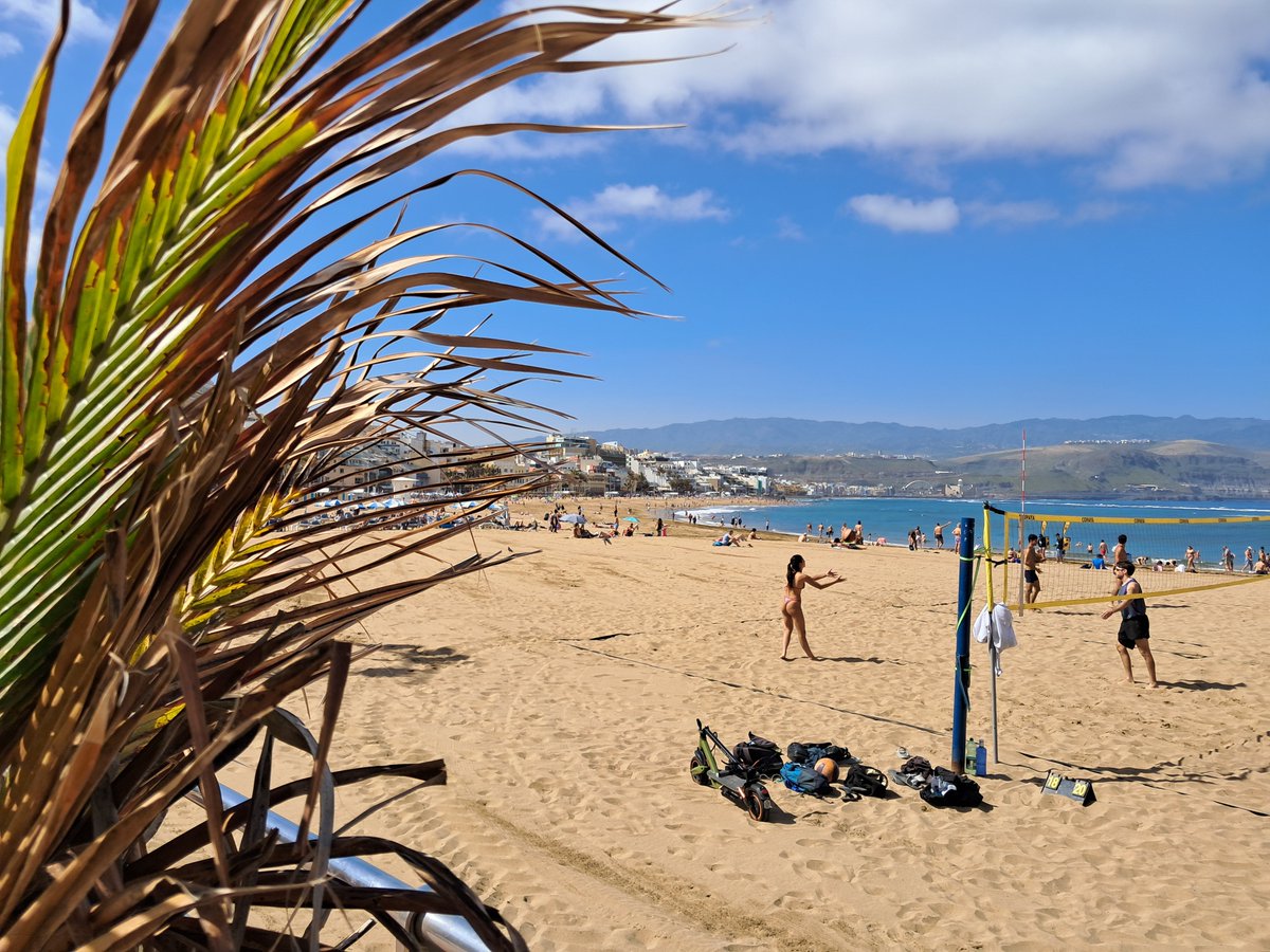 Francisco Linares tweet media