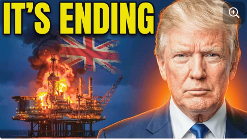 Riccardo Bosi tweet media