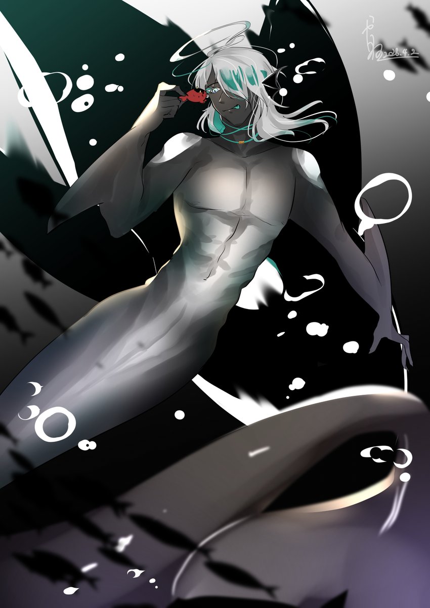 狩猫（かりねこ） tweet media