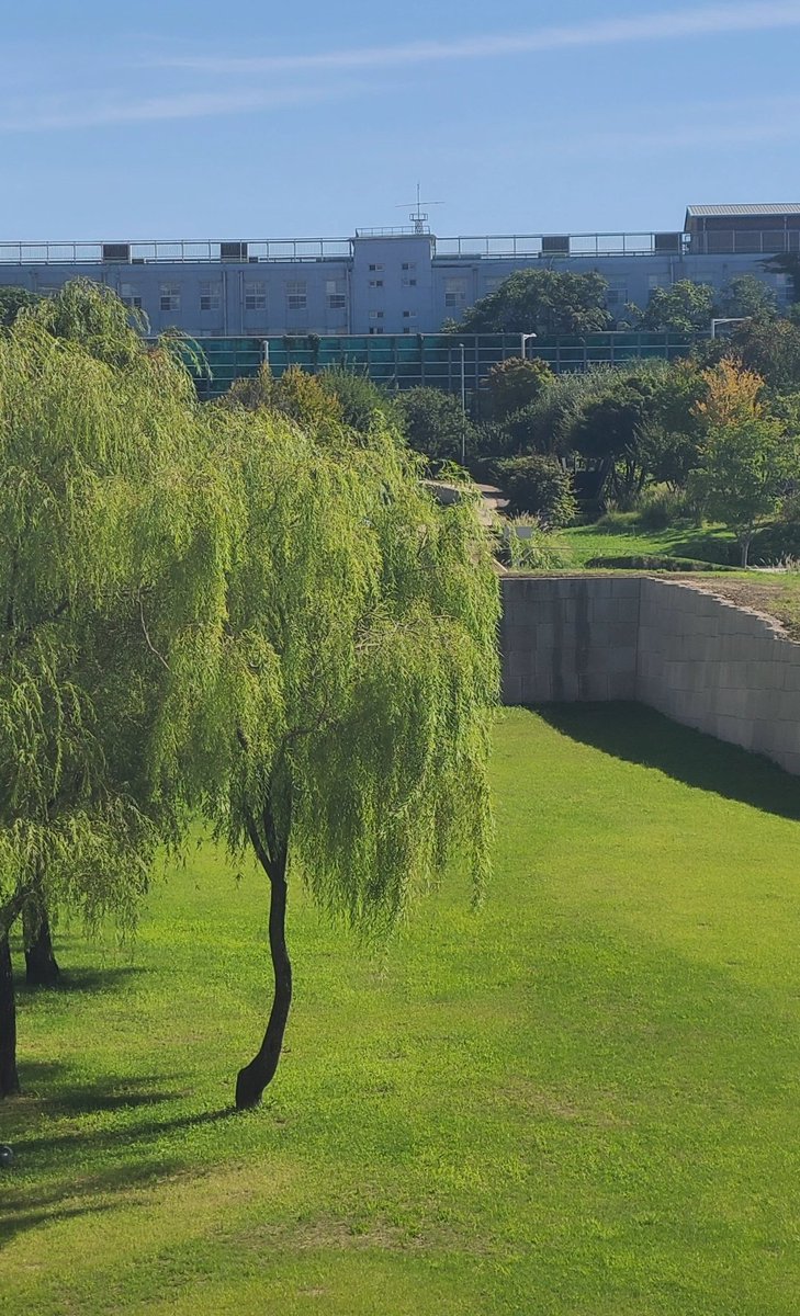 또밤새 tweet media