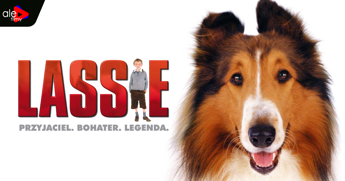 alefilmy's tweet photo. 🐶 Sprzedana. Wywieziona. Niezłomna.
„Lassie” to klasyczna, wzruszająca historia o psie, który zrobi wszystko, by wrócić do swojej rodziny.

🎬 https://t.co/73JJ4Crh49

#Lassie #FilmFamilijny #KinoRodzinne #alefilmy https://t.co/9YfDiTyCF7