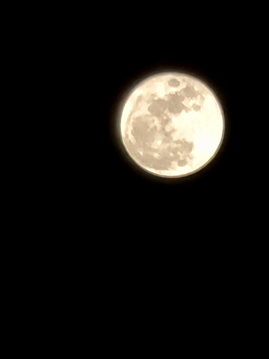 ジュン tweet media