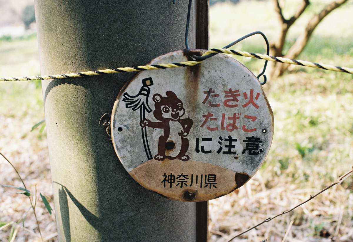 allez555's tweet photo. このシリーズ好き
📷: PENTAX LX & FA43mm F1.9 Limited
🎞️: Kodak Kodacolor200
#フィルム写真 #フィルムカメラ #Kodacolor200 https://t.co/zs8XXS6XEC