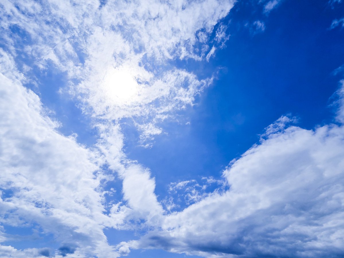 ＊moco＊ ルクセリオン - ̗̀ 🐇 ̖́- tweet media