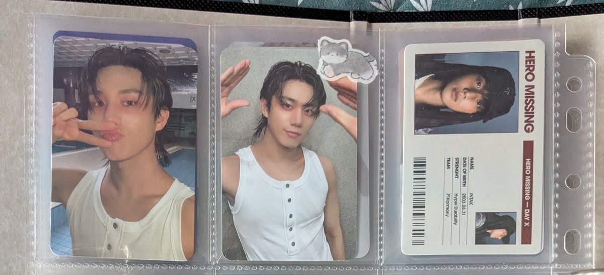 Siff *.✧ ᑌ´• ᴥ •`ᑌ 。*゚+ tweet media