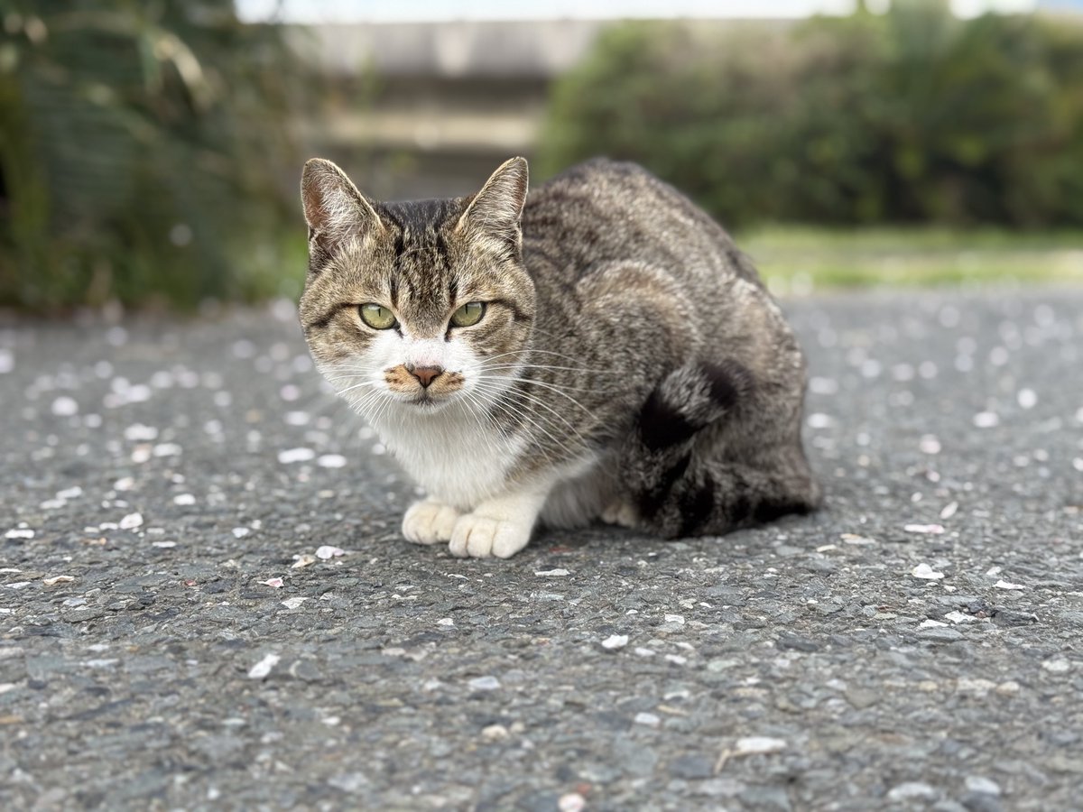 るのん tweet media