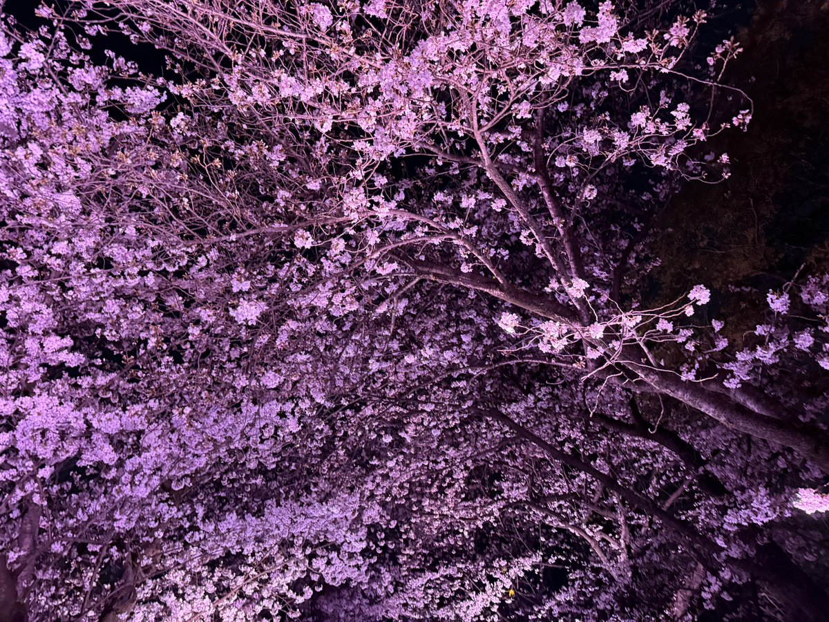 coldsleep 冷睡🌈🦈 tweet media