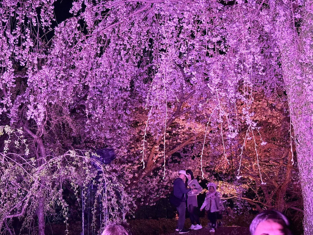 coldsleep 冷睡🌈🦈 tweet media