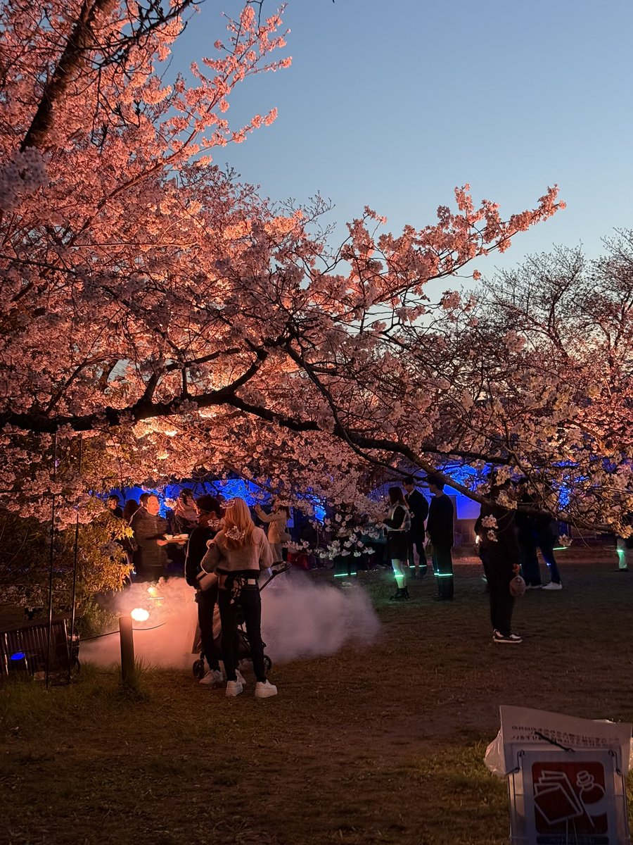 coldsleep 冷睡🌈🦈 tweet media