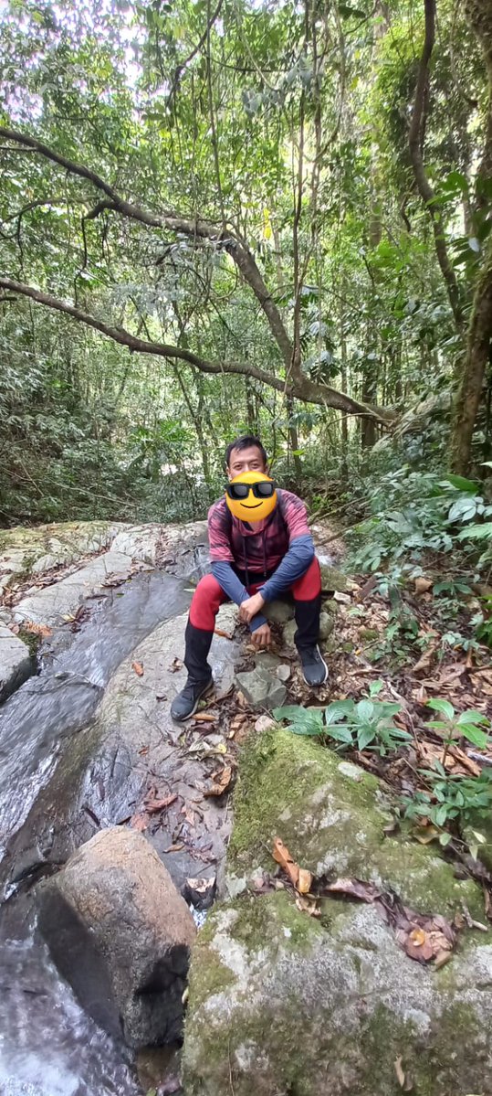 ᙭EᖇOᖴIᒪI tweet media