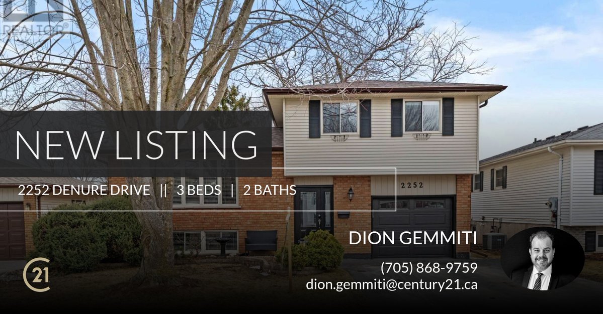 Dion Gemmiti tweet media