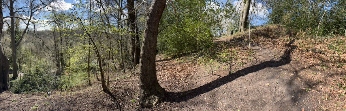 Puppy Bess and Auntie Kes tweet media