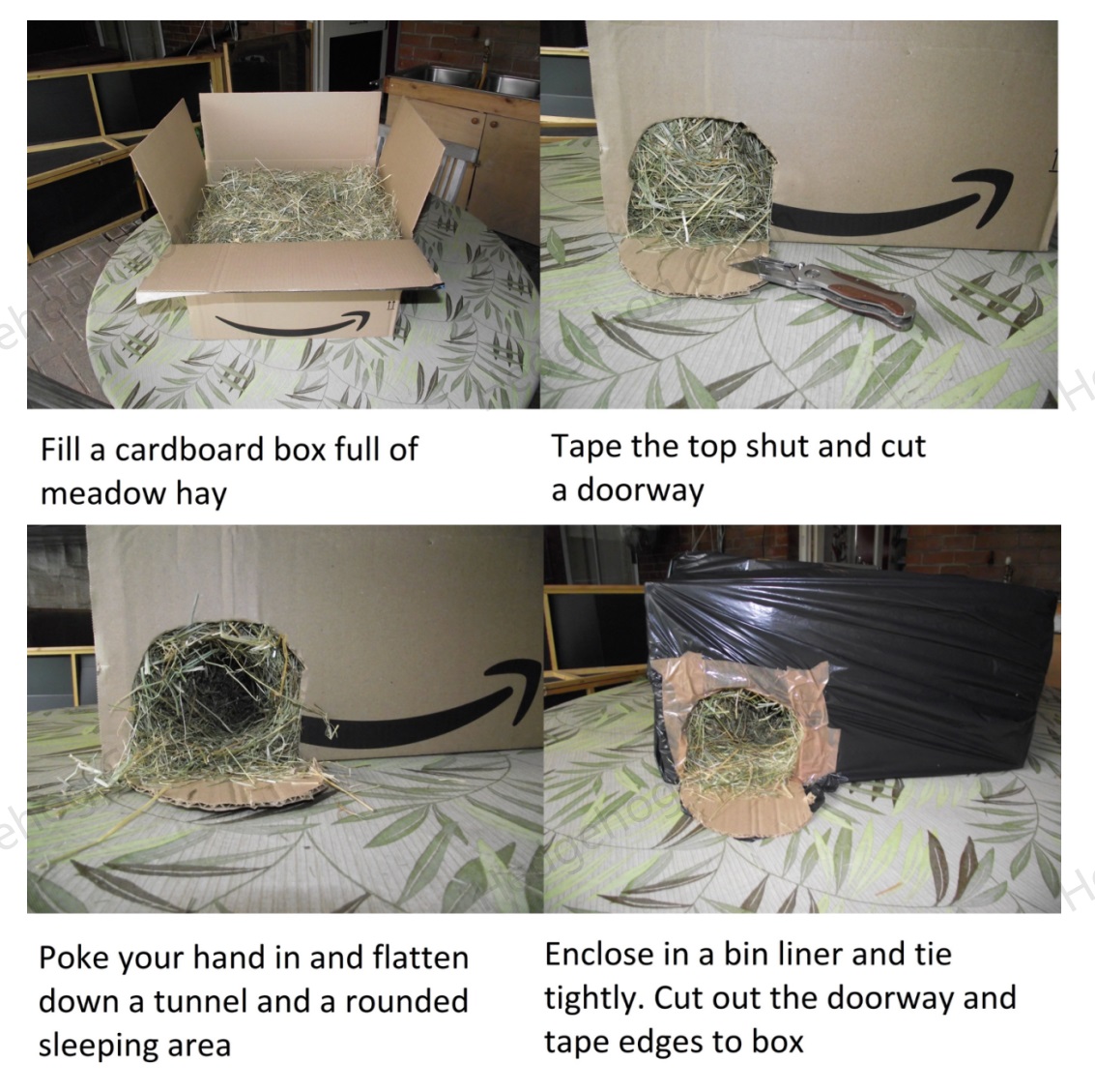Hedgehog Cabin tweet media