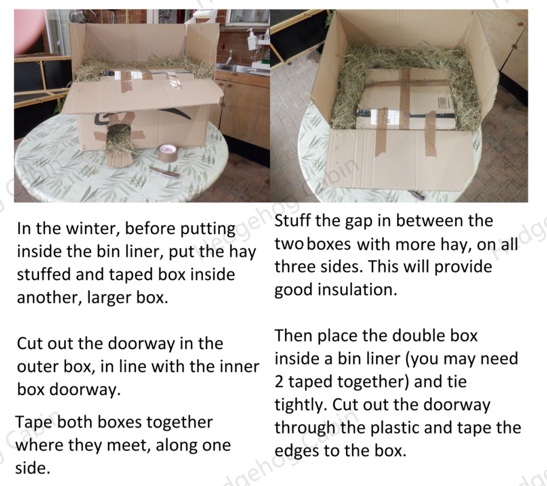 Hedgehog Cabin tweet media