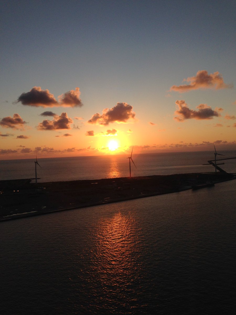 ベルカンプ tweet media