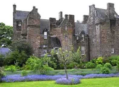 freddie barss tweet media