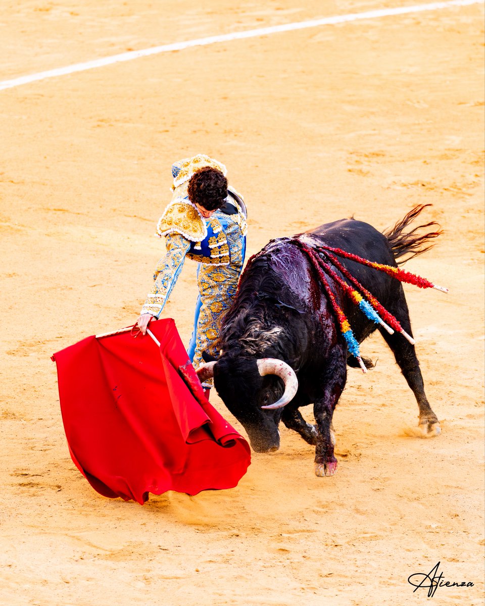 EduAtienza tweet media
